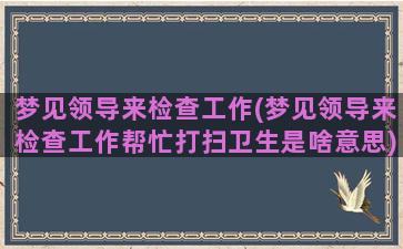 梦见领导来检查工作(梦见领导来检查工作帮忙打扫卫生是啥意思)