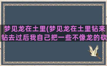 梦见龙在土里(梦见龙在土里钻来钻去过后我自己把一些不像龙的砍了)