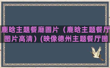 鹿晗主題餐廳圖片（鹿晗主题餐厅图片高清）(映像德州主题餐厅图片)